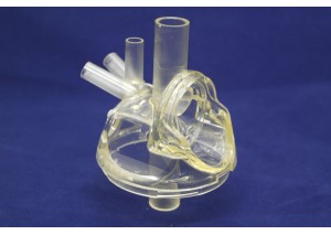 Tf100 Pençe camı HL