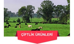 Çiftlik Ürünleri