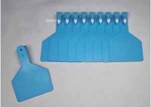 BÜYÜK BOY KULAK KÜPESİ MAVİ