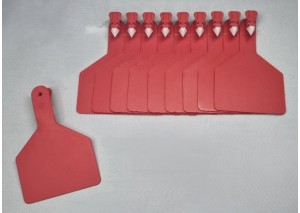 BÜYÜK BOY KULAK KÜPESİ KIRMIZI