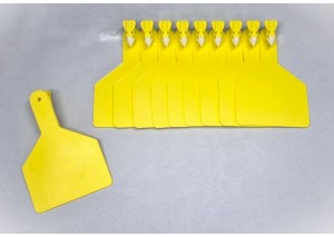 BÜYÜK BOY KULAK KÜPESİ SARI