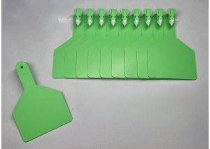 BÜYÜK BOY KULAK KÜPESİ YEŞİL