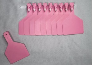 BÜYÜK BOY KULAK KÜPESİ AÇIK PEMBE