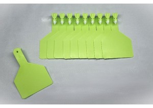 BÜYÜK BOY KULAK KÜPESİ AÇIK YEŞİL