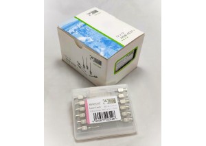  DEMİR İĞNE UCU (12'Lİ)