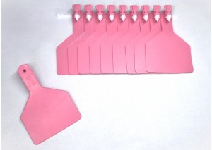 BÜYÜK BOY KULAK KÜPESİ PEMBE